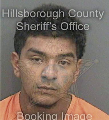 Nathan Perez, - Hillsborough County, FL 