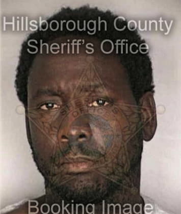 Timothy Denson, - Hillsborough County, FL 