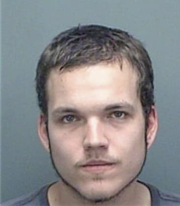 Alexander Epstein, - Pinellas County, FL 