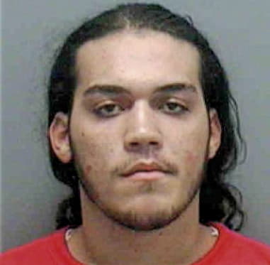 Taurino Villanueva-Alvarez, - Lee County, FL 