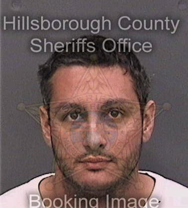 Emmanuel Barrientos, - Hillsborough County, FL 