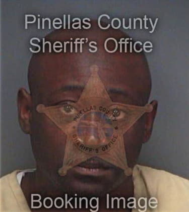 Michael Bryant, - Pinellas County, FL 