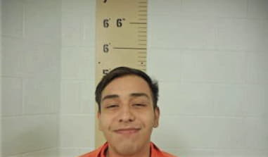 Luis Diaz-Dominguez, - Burnet County, TX 