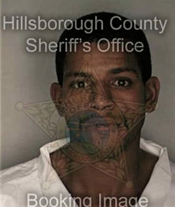 Hilario Flores, - Hillsborough County, FL 