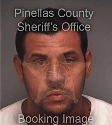 Oscar Portillocruz, - Pinellas County, FL 