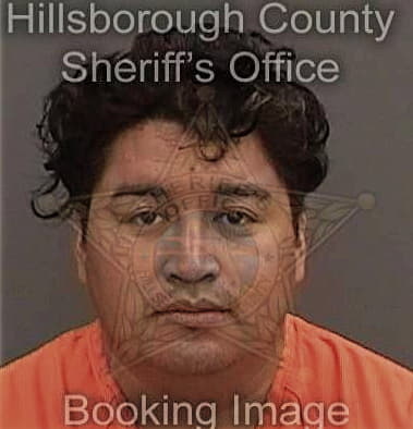 William Ramirez, - Hillsborough County, FL 