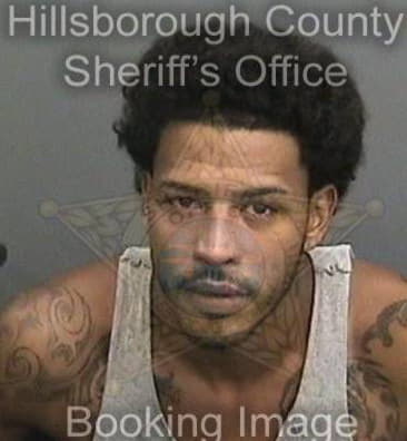 Christopher Clark - Hillsborough County, FL 