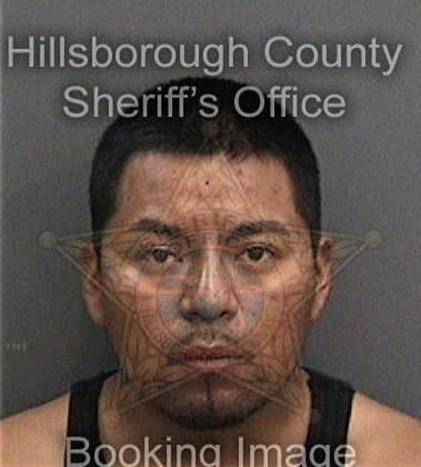 Richard Elston, - Hillsborough County, FL 