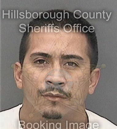 Luis Lealramirez, - Hillsborough County, FL 