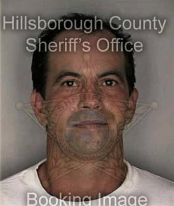 David Metz - Hillsborough County, FL 