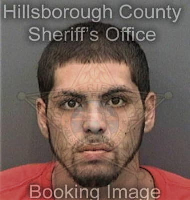 Sean Phelan, - Hillsborough County, FL 