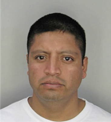 Wladimir Pineda, - Hillsborough County, FL 