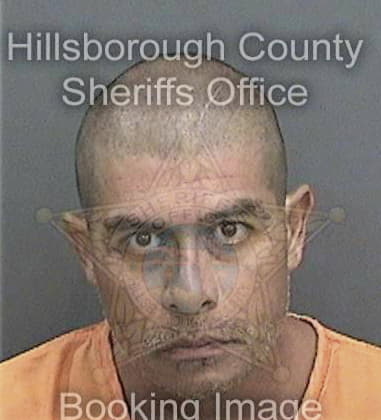 Adan Valdez, - Hillsborough County, FL 