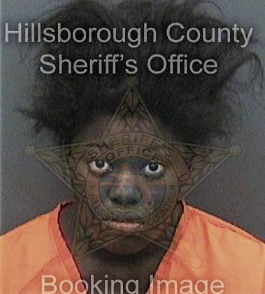 Bridgett Bogan - Hillsborough County, FL 
