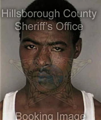 Ilyas Jafar, - Hillsborough County, FL 