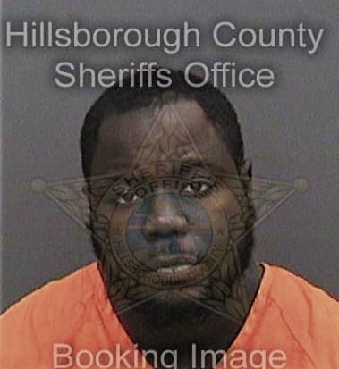 Kerem Lewis, - Hillsborough County, FL 