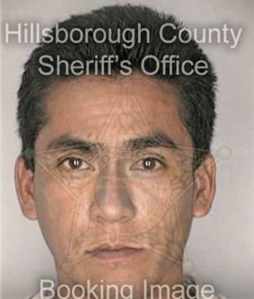 Fausto Lopeztecalero, - Hillsborough County, FL 