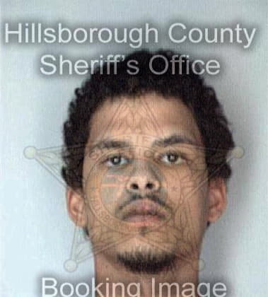 Michael Maggiore, - Hillsborough County, FL 