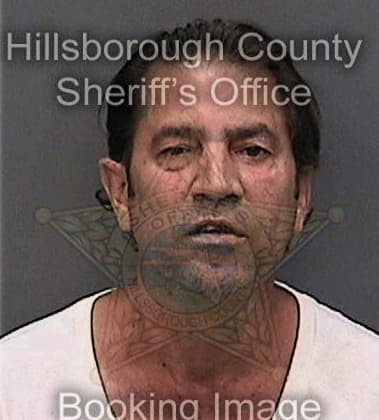 Victorino Navasanchez, - Hillsborough County, FL 