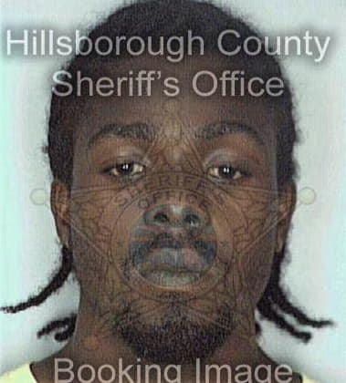 Nathaniel Oneal, - Hillsborough County, FL 