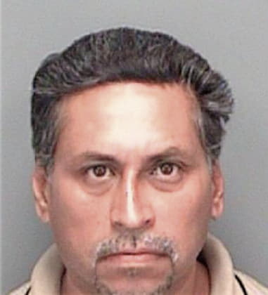 Roel Pena, - Pinellas County, FL 