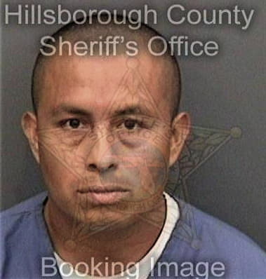 Keith Protus, - Hillsborough County, FL 