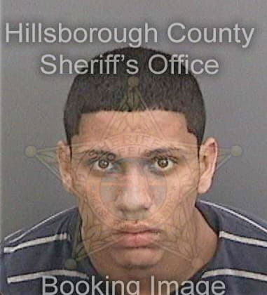 Fidencio Suarez, - Hillsborough County, FL 