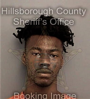 Bryan Williams - Hillsborough County, FL 