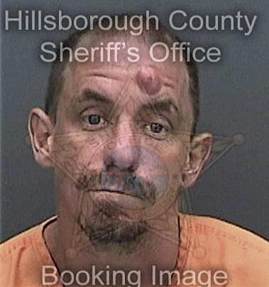 Celerino Barrerasantana, - Hillsborough County, FL 