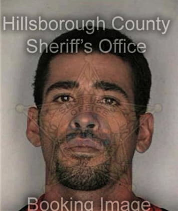 Kim Biser - Hillsborough County, FL 