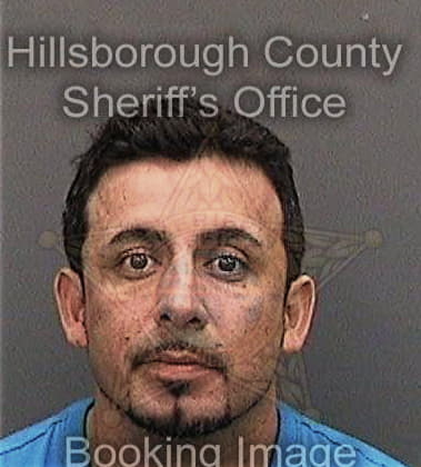 Ezequiel Delmoral, - Hillsborough County, FL 