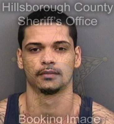 Christopher Garcia, - Hillsborough County, FL 