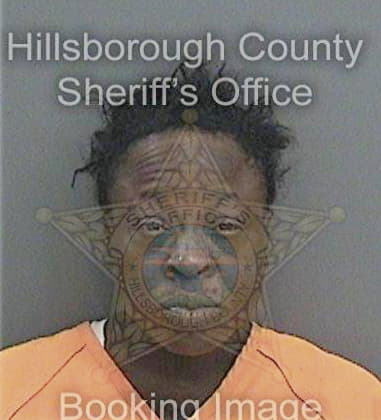 Sylvia McDuffie - Hillsborough County, FL 