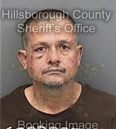 William Metzmeier - Hillsborough County, FL 