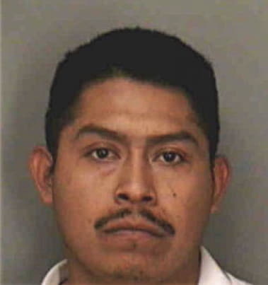 Leonel Salgado, - Polk County, FL 