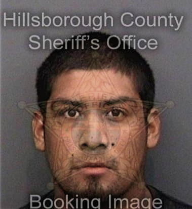 Richard Sedita, - Hillsborough County, FL 