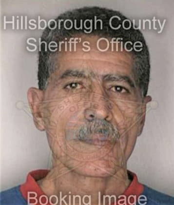 Timothy Shultz, - Hillsborough County, FL 