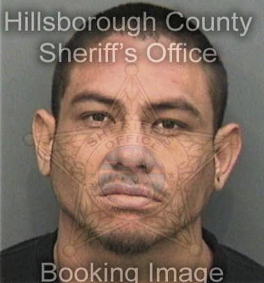 Ramiro Silva, - Hillsborough County, FL 