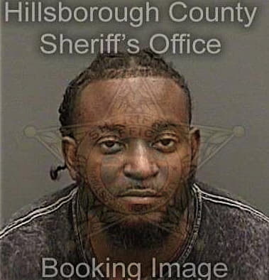 Joshua Alexis, - Hillsborough County, FL 