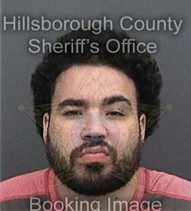 Nicholas Andersen, - Hillsborough County, FL 