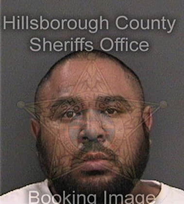 Matthew Begelman, - Hillsborough County, FL 