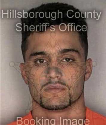 Jose Rosalesmoreno, - Hillsborough County, FL 