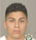 Gonzalo Sanluisneria - Multnomah County, OR 