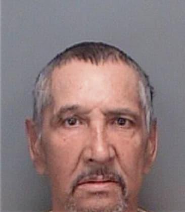 Reynaldo Suarez, - Pinellas County, FL 