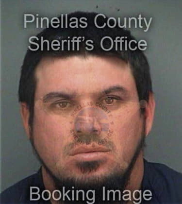 Erwin Torresnavaraez, - Pinellas County, FL 