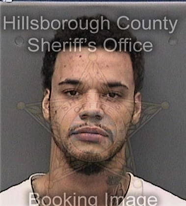 Carlos Arenas, - Hillsborough County, FL 