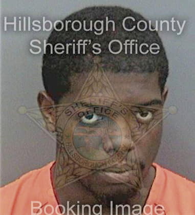 Timothy Austin, - Hillsborough County, FL 