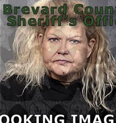 Donna Brewer, - Brevard County, FL 