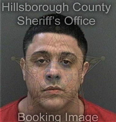 Michael Crago, - Hillsborough County, FL 