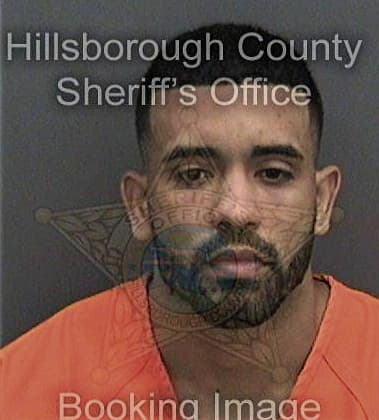 Michael Harris, - Hillsborough County, FL 